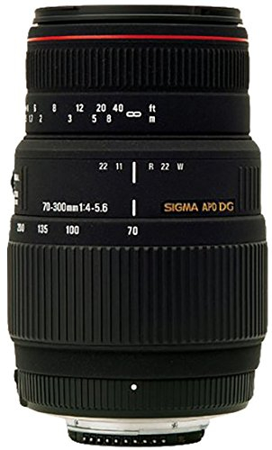 Sigma 70-300 mm F4,0-5,6 DG APO Makro-Objektiv (58 mm Filtergewinde) für Canon Objektivbajonett
