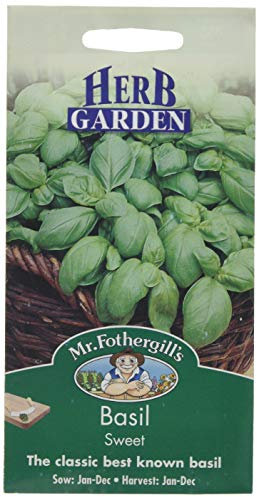 Mr Fothergill's 23144 Basil Sweet, Black