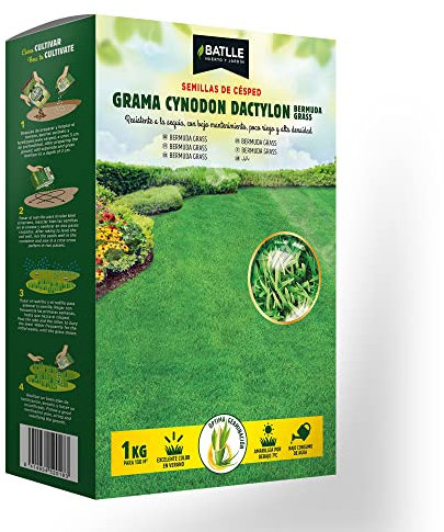 Batlle Gazon CYNODON DACTYLON