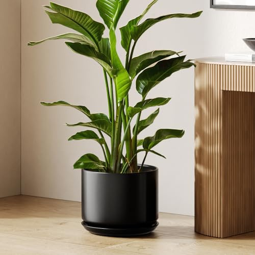 LE TAUCI Keramisk Blomkruka 30 cm, Ytterkruka med Dräneringshål och Fat, Modern Minimalistisk Design, för Svärmorstunga, Monstera och Inredning, Svart