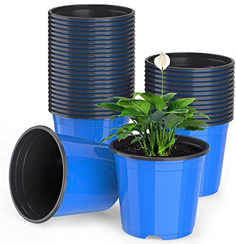 LATERN 50Pz 15cm Vasi da Fiori in Plastica, Blu Leggero Vasi di Partenza per Semi Vasi per Piantine di Vivai Contenitore per Piante da Fiore (15 x 13cm)