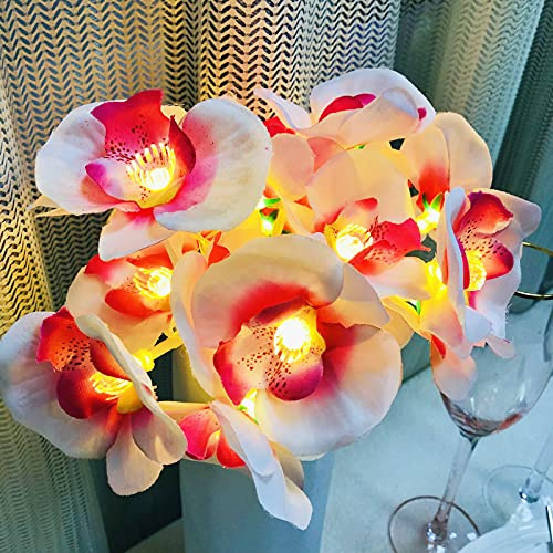 Riaxuebiy Artificielles Phalaenopsis Fleurs Guirlande 9.8FT 20 LED Orchidée Guirlandes Lumineuses Lumières Suspendues Blanches Chaudes pour Fête Mariage Maison Décoration (Rose Phalaenopsis, USB)