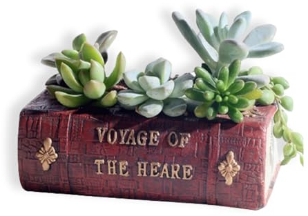 Piccoli Vasi Per Piante Grasse con Drenaggio, Vaso Per Piante Grasse a Forma di Libro Fioriera Decorativa Carina Vasi da Giardino Vasi Per Bonsai Fioriere Per Piante Grasse Vintage Decorazione Per Sca