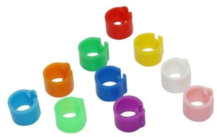 100 anelli per zampe di piccione, diametro interno 6 mm, clip in plastica, anelli per zampe di pappagallo, per piccione, quaglia e uccello,6mm