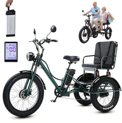 JSMDLN Triciclo Elettrico a Pedalata Assistita da 24, con Sedile Multifunzionale, Carico Massimo: 150 kg, Display LCD + Faro, Acciaio Ad Alto Tenore di Carbonio, per Città E Strade di Montagna Green