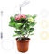 Mcbazel Lámpara de Plantas, 24 LED Luz de Crecimiento de Espectro Completo, Altura Ajustable 61.5 cm, Temporizador 4H/8H/12H, 10 Niveles de Brillo, Lámpara de Crecimiento para Plantas Pequeñas