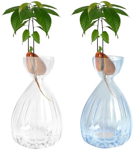 JOJOCY 2Pcs Avocado Seed Sprout Starter Vase, Striped Style Avocado Tree Growing Glass Vases, Glass Bulb Vase for Home Table Desk Indoor Decor (Clear + Blue)