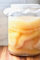 JUN TEA 5L (XL) Kombucha Scoby Certified Organic UKAS LAB Tested - For Green tea and Honey by Kombuchaorganic® Quality Assured Outstanding and Unique Quality Cultures