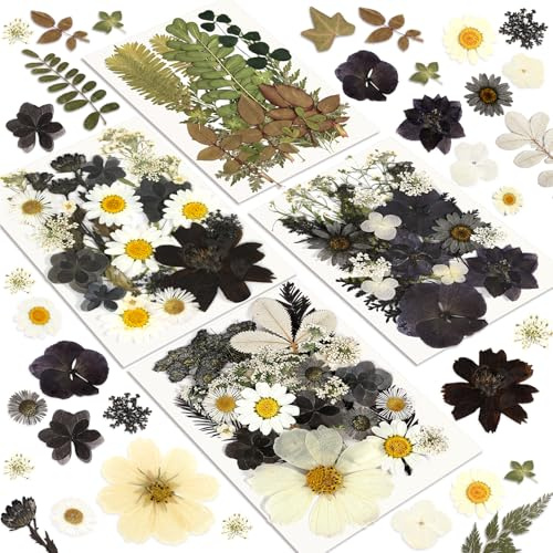 Dried Flowers, Resiners 100Pcs Black Pressed Flowers for Resin Soap Candle Scrapbook Supplies Card, Real Natural Dried Flowers Dry Leaves Kit for DIY Papper Crafts Making Jewelry Decor