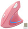 Tynerza Verticale Ergonomico Mouse Senza fili 6 Pulsanti 1600 DPI Ottico e Portatile Cordless Topo con Ricevitore USB per Ufficio Viaggi Scuola PC Computer Mano Destra Grande (Rosa)