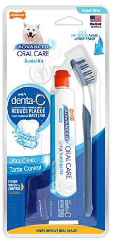 Nylabone Advanced Oral Care Dog Dental Kit Original Flavor 2.5 oz.