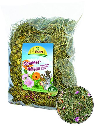 JR Farm 12044 Sommer-Wiese Ergänzungsfuttermittel für Nager 1000g