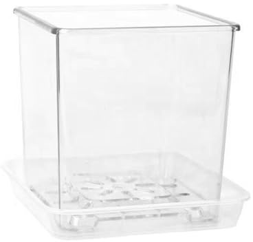 LLHCF Vasi trasparenti Semplice Traspirante Ornamento Phalaenopsis Fioriera Fornitura Decorazioni Da Giardino Per Vasi Di Fiori Davanzale Balcone