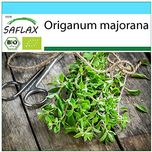 SAFLAX - Kit cadeau - BIO - Marjolaine - 700 graines - Avec boîte cadeau/d’expédition, autocollant d’expédition, carte cadeau et substrat de culture - Origanum majorana