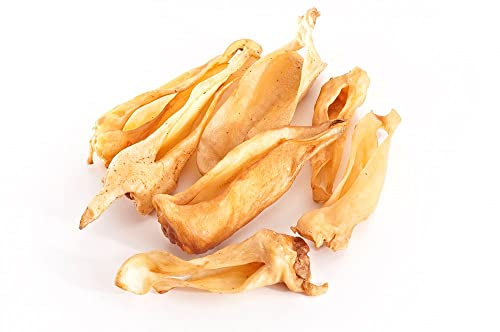 mascota vital - Getrocknete Lamm-Ohren für Hunde – 100% natürlich & ohne Zusätze – leicht verdaulich, gut bekömmlich, gesunder Kausnack & Zahnpflege – ideal für ernährungssensible Hunde (Lamm-Ohren)