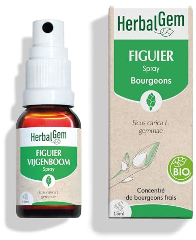HerbalGem - Macérât-Mère - Spray Figuier Bio - Complément Alimentaire Gemmothérapie Concentrée - Extrait de Bourgeon Frais - pour Digestion - Vegan - Format Nomade, Simple et Pratique - 15 ml