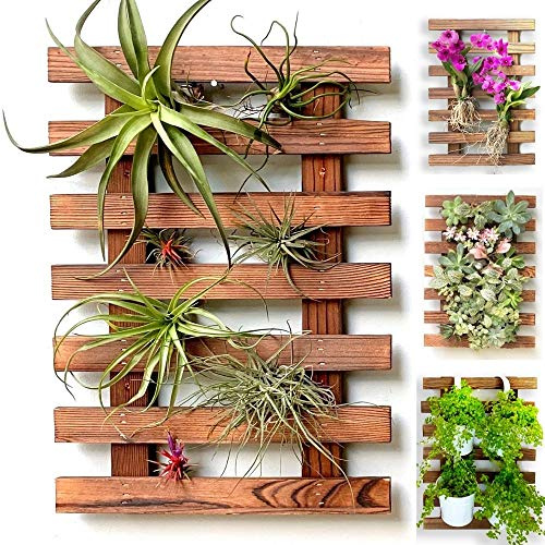 ShopLaLa Fioriera da parete in legno per piante grasse, per interni ed esterni, orchidea viva, cornice verticale per giardino, balcone, terrazza, bagno, Macetas para Plantas de Aire 40 cm
