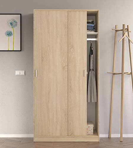 Dmora - Guardaroba 2 ante Lansing, Armadio per camera da letto, Mobile con ripiano e barra appendiabiti, 100x50h200 cm, Rovere