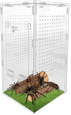 Terrario para Arañas Saltarinas | Terrario de Acrílico para Mantis y Arañas | Hábitat a Prueba de Fugas para, Observación Científica y Tarántulas