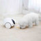 ASUMUI Mobile Full HD Pet Camera with Treat Dispenser, Interactive Toy for Dogs and Cats, Remote Control Via App,1080p HD Pan,Designed for Pets