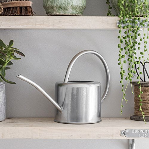 CKB LTD® Arrosoir d’intérieur en acier galvanisé de 1,9 L pour plantes d’intérieur, design contemporain en métal avec bec étroit et poignée haute (argent)