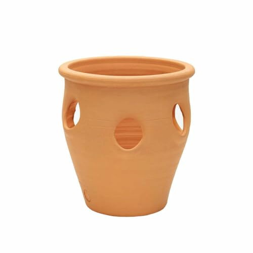 APTA 36cm Terracotta Herb Planter 36cm Durable Outdoor Garden Pot