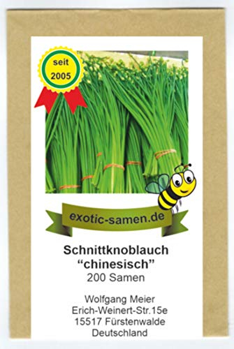 Schnittknoblauch, chinesisch - Bienenweide - Allium tuberosum (200 Samen)