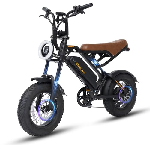 Bodywel M16 E Bike Herren Damen, 16x4.0 Zoll All Terrain E Fatbike City & Mountain, 48V 13Ah Akuu, 250W Motor, Reichweite 80km (PAS), LCD Display, Duale Lichter, Vollfederung Elektrofahrrad (Black)