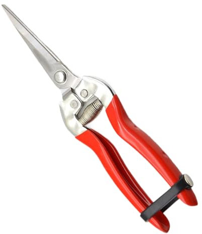 Tijeras De Podar | Tijeras De Jardinería De Acero Inoxidable Y Herramientas Para Bonsáis,Herramienta Para Cosecha, Flores, Bonsáis, Uvas, Vides Y Naranjos