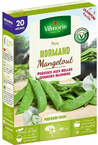 Vilmorin - Graines de Pois demi nain mangetout NORMAND- 20 mètres