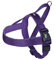 Nobby Norwegergeschirr Classic Preno, lila / lila L: 50-64 cm + 42 cm, B: 25/35 mm, 1 Stück