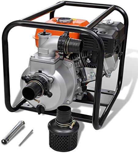 Festnight Pompa d'Acqua con Motore a Benzina/Pompa di filtrazione 80 mm Collegamento 6,5 HP