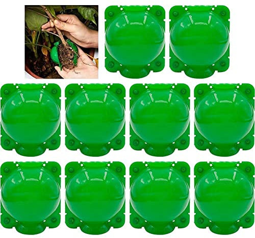 Dinntty 10 pièces Dispositif d'enracinement des Plantes Boule Plante greffage Coupe Dispositif d'enracinement Boule de Propagation à Haute Pression pour Plantes Arbres fruitiers