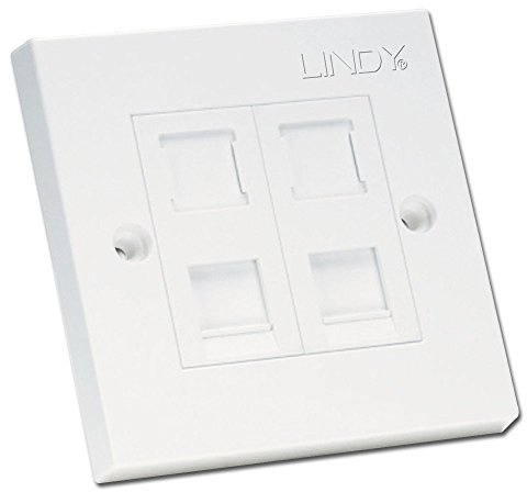 LINDY CAT5e Single Wall Plate with 2 x RJ-45 Shuttered Socket Unshielded