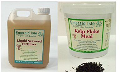 Fertilizzante liquido di alghe 6 L & 3 kg alghe alghe da giardino pasto per giardini, fiori, prati, arbusti, certificazione biologica IOFGA