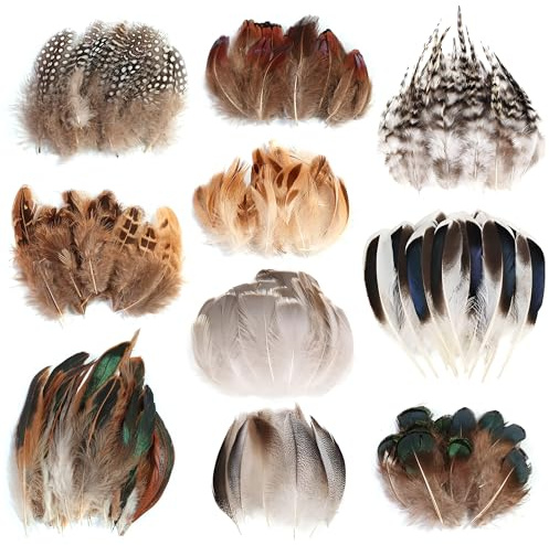 300PCS Pheasant Feathers Decorations, 10 Styles Brown Feathers for Crafting, Craft Feather for Hats Floral Designs and DIY Wreath Making Home Decorations Hair Accessories and Artistic Craft Projects