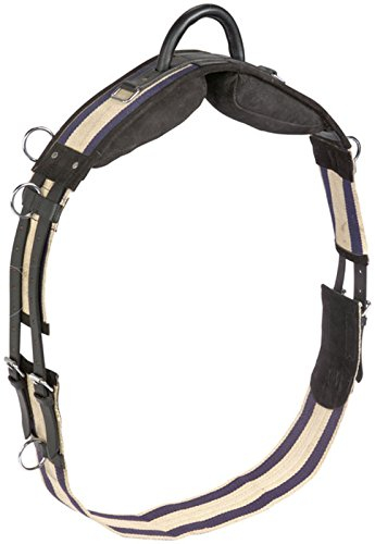 Longiergurt mit Handgriff