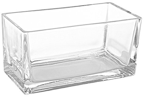 MyGift 7.8 inch Modern Rectangular Glass Vase, Trough Planter, Tabletop Glass Terrarium