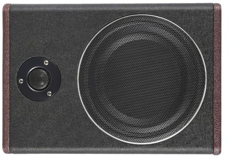Cierre de subwoofer de 200 W, bajo el asiento del coche amplificador integrado, negro