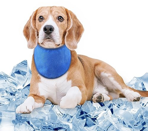 Comfpet collare refrigerante cane, Bandana rinfrescante per cani, Cooling foulard per cani, sciarpa rinfrescante per animali domestici collare per gatti per l'estate (Blu)