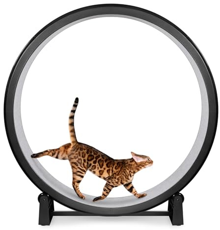 One Fast Cat - Cat Exercise Wheel - Gen. 7 - Safe 48 Diameter - Made in The USA - Black Wheel with Gray Felt Traction Pads and Solid Black Inline Wheels