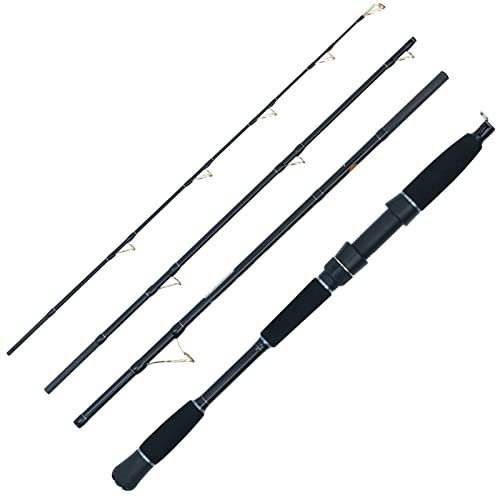 WFT Sea Dart Norway Fjord 4pcs. 2,10m 35lbs 50-400g Reise-Meeresrute