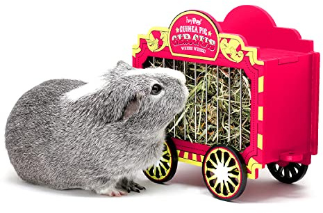 HAYPIGS Circus Wheek Wagon | Guinea Pig Hay Feeder | Small Animal Feeder