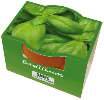 Bull & Bear Mini Pflanzset Basilikum Samen Set mit Tontöpfchen mit Basilikumsamen, Pflanzsubstrat und Pflegeanleitung