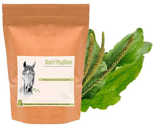 Psyllium Cheval - Colique de Sable - 500 g