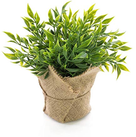 artplants.de Artificial Butcher's broom herb VITUS in a jute bag, green, 9/22cm - Artificial kitchen herb/Fake plant