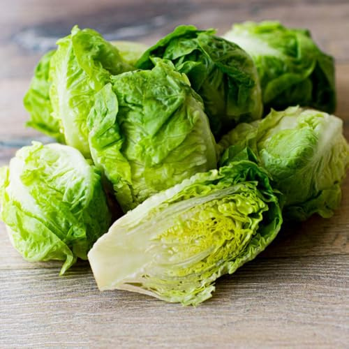 lattuga, varietà antiche, lattuga a foglia larga da orto aromatiche da giardino semi di semi di per aiuole rialzate giardino resistenti Acquista piantine 400pcs