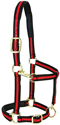 Väv läder vadderad justerbar nylon hästgrimma röd, 2,54 cm liten häst