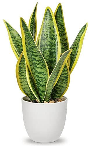 Oairse 31cm Sansevieria Pianta artificiale in vaso, piccola pianta d'appartamento, pianta di serpente artificiale, piante artificiali come vere, perfetta per bagno, camera da letto, casa