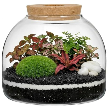 ULTECHNOVO Glass Terrarium, Succulent Plant House, Desktop Candy Jar, Landscape Terrarium for Plants, Office Home Garden Decoration